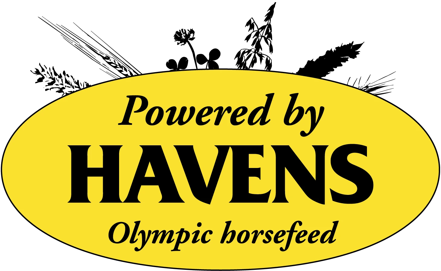 HAVENS